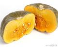  winter squash 
